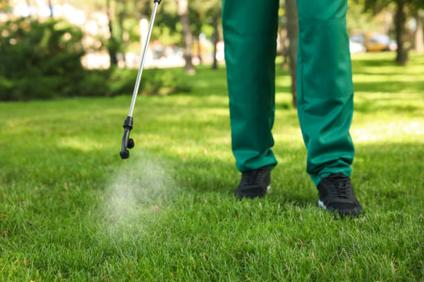 Trusted Mullica Hill, NJ Pest Control Experts