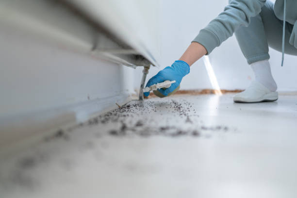 Best Mosquito Control Services  in Mullica Hill, NJ